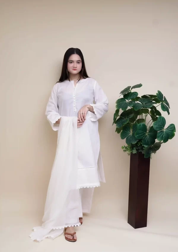 3PC Solid Collection 2025 – S3PCWH01