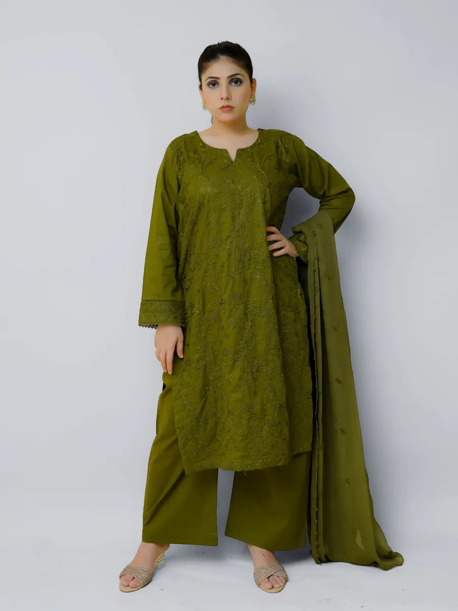 Luxury Pret 3 Piece Suit – EM3PC5CLGR01