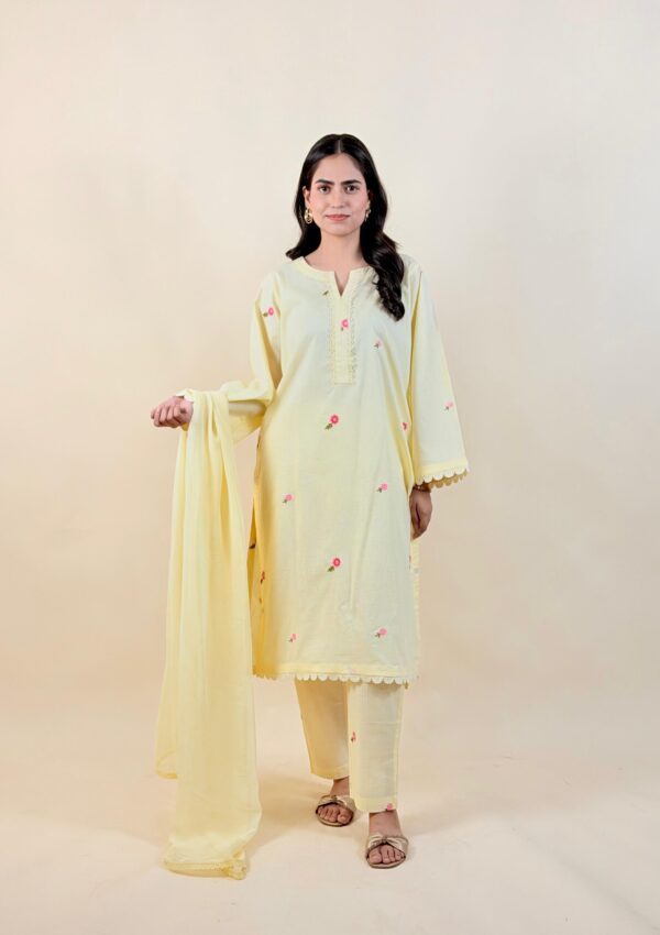 3pc Luxury Pret – A11448